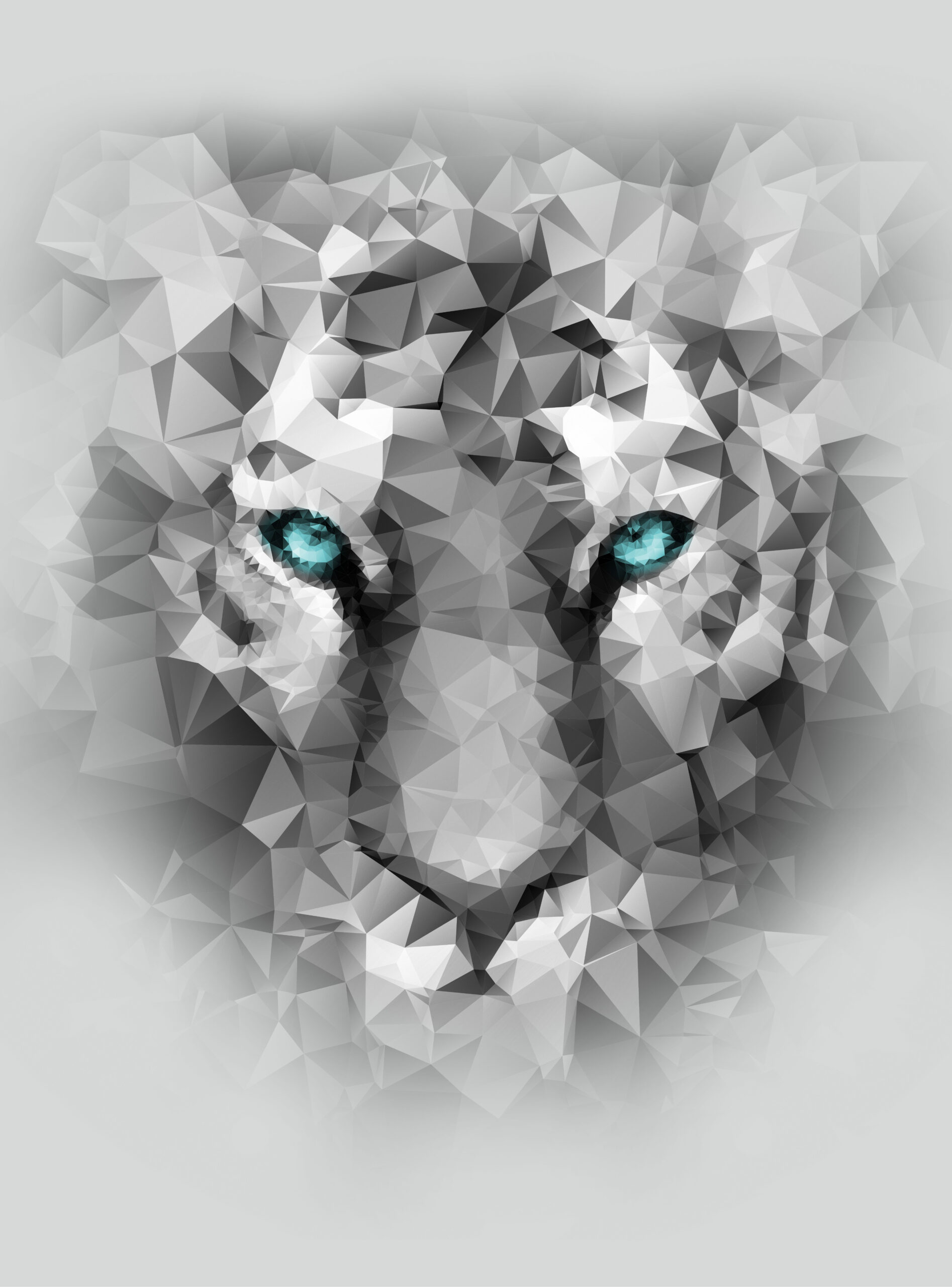 guidofalcini_Service_Photo